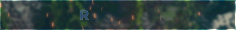 standard_13.gif