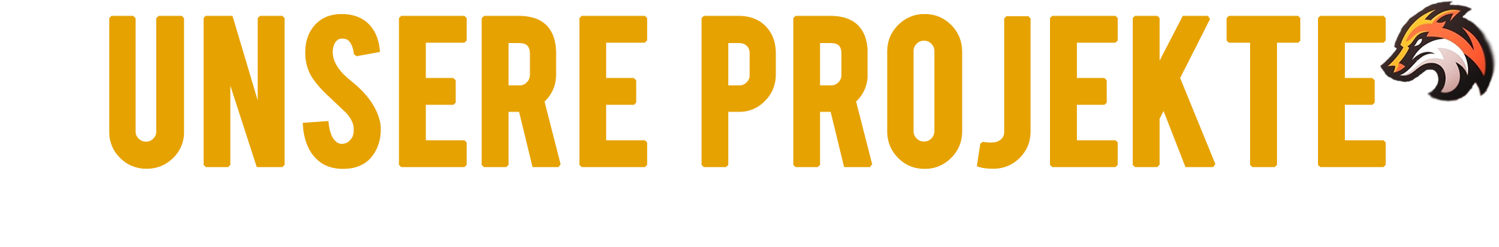 unsereprojekte.png