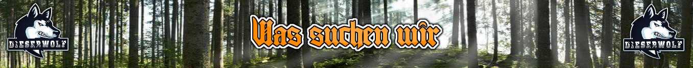 Was suchen wir.png