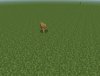 Wolf.jpg Wolf.jpg