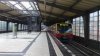 DSC_0312.jpg DSC_0312.jpg