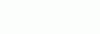 Bild.gif