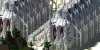 KatariaWolf8.jpg