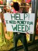 Weed Blur (1 of 1).jpg