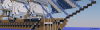 NavisBanner.png