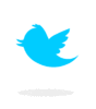 twitter-icon-rev.gif
