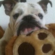 Didog2000