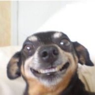 raz_zac