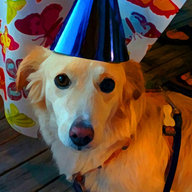 Crazydog Studios