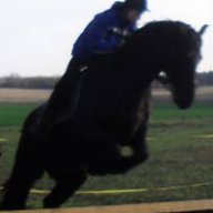 HorstXD