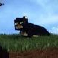 Pussy Craft