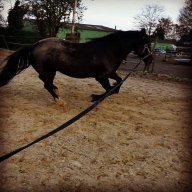 MillY1409