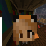 BNFoxy_x3