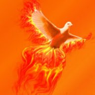 PhoenixmitX
