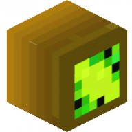 DasKiwi