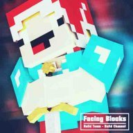 FacingBlocks