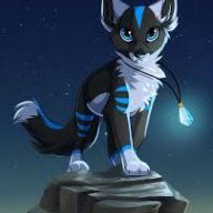 Darko the icewolf