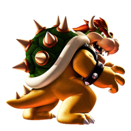 BowserFan