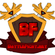 BattleFightNET
