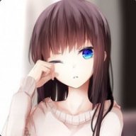 Thebordercrash