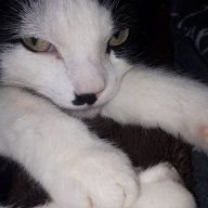 Katmy_HDI