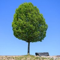 Sp33dtree