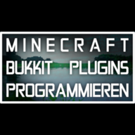 RaidProgramming
