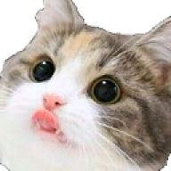 twitch.KatzeMitSchal