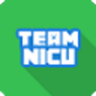 TeamNiCu