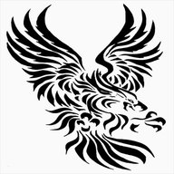 Chaos161