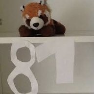 Mr. Fox81