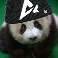 ProgrammingPanda