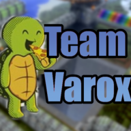 TeamVarox-Network
