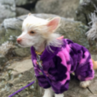 AstroBiker001
