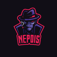 NepdisNET