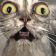 Fynx_lp