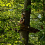 Schattenkran