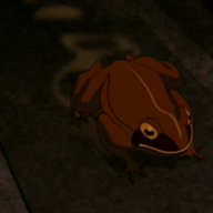 Profibaufrosch