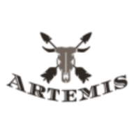 Artemis0796