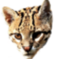 Ozecraft