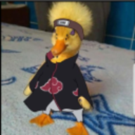 Duck Pain