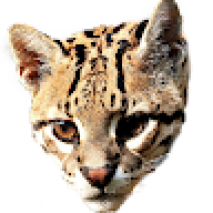 Ozecraft00