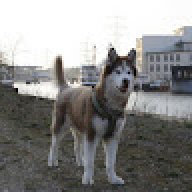 Lars_2020