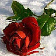 !Hamza123best