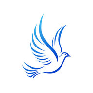 freedom-craft