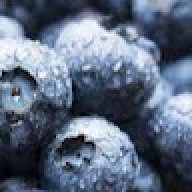 Blaubeere