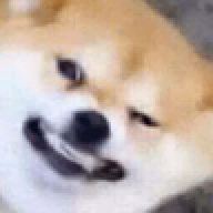 dogwdoener