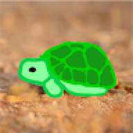 schildkrote8516