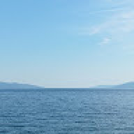Allen785