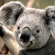 Rocky-Melissa